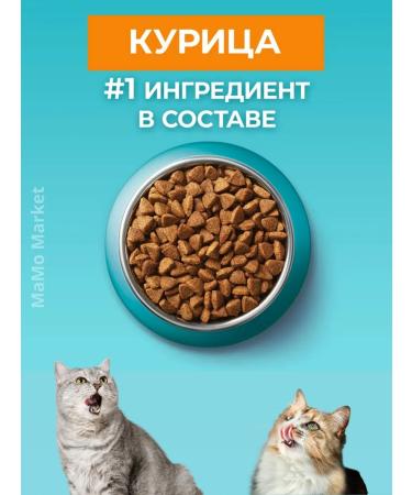 PURINA ONE Cat for cats dry 0.75 kg for sterilized with chicken - Buy Online on GoSupps.com