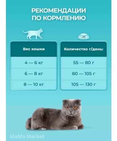 PURINA ONE Cat for cats dry 0.75 kg for sterilized with chicken - Buy Online on GoSupps.com