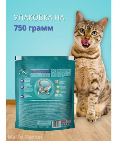 PURINA ONE Cat for cats dry 0.75 kg for sterilized with chicken - Buy Online on GoSupps.com