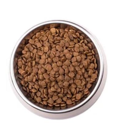 MONGE VetSolution Cat Hepatic for cats with liver problems 1.5kg - Buy Online on GoSupps.com
