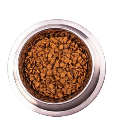 MONGE Gastrointestinal Puppy Food for puppies with gastrointestinal diseases 5 kg - Buy Online on GoSupps.com