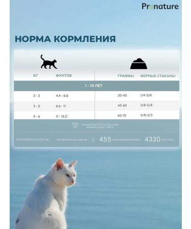 Pronature Dry Holistic food for the skin and hair of cats salmon 2 kg 2pcs - Buy Online on GoSupps.com