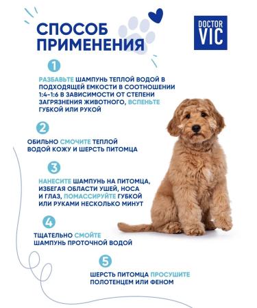 Doctor VIC Dog shampoo all breeds with panthenol - Buy Online on GoSupps.com