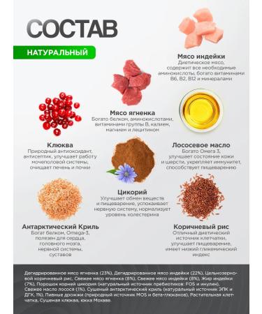 Grandorf Dry food for kittens Kitten lamb and turkey 2 kg - Buy Online on GoSupps.com