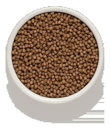 Grandorf Dry food for kittens Kitten lamb and turkey 2 kg - Buy Online on GoSupps.com