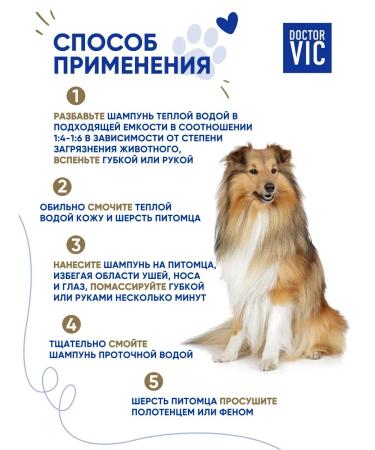 Doctor VIC Dog silk proteins with proteins - Buy Online on GoSupps.com