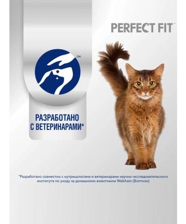 PERFECT FIT Dry food for cats salmon 10kg - Buy Online on GoSupps.com