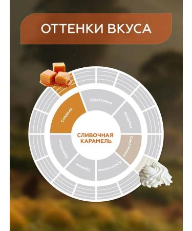 Coffee in Gemma coffee cream caramel French - Buy Online on GoSupps.com