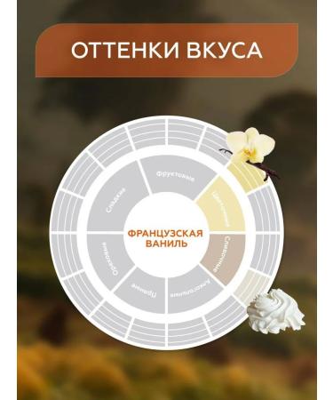 Coffee in Gemma coffee cream caramel French - Buy Online on GoSupps.com