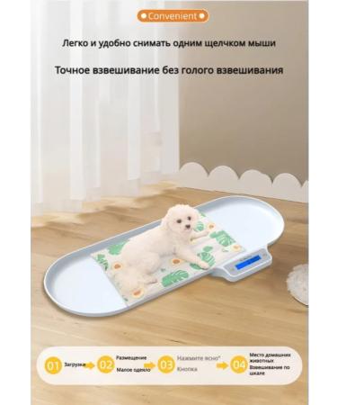 veterinary scales for a cat and dog 40 G-30 kg - Buy Online on GoSupps.com