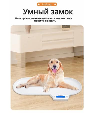 veterinary scales for a cat and dog 40 G-30 kg - Buy Online on GoSupps.com