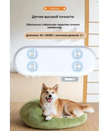 veterinary scales for a cat and dog 40 G-30 kg - Buy Online on GoSupps.com