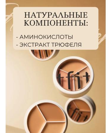 tfit Consilee palette 3v1 cold 03 - Buy Online on GoSupps.com