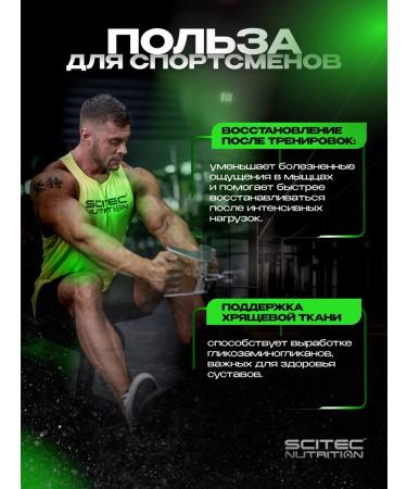 Scitec Nutrition MSM methyl sulfonylmetatan Mega MSM 100 capsules - Buy Online on GoSupps.com