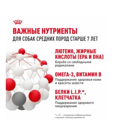 Dry dog food 15 kg - Buy Online on GoSupps.com