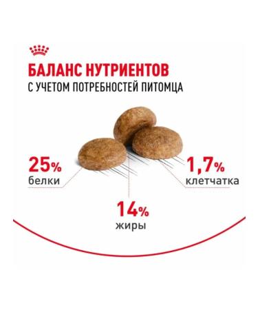 Dry dog food 15 kg - Buy Online on GoSupps.com