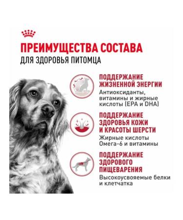 Dry dog food 15 kg - Buy Online on GoSupps.com