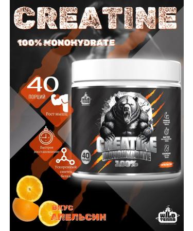 WILD TERRA Creatine Monohydrate Sports Nutrition Creatine 200g