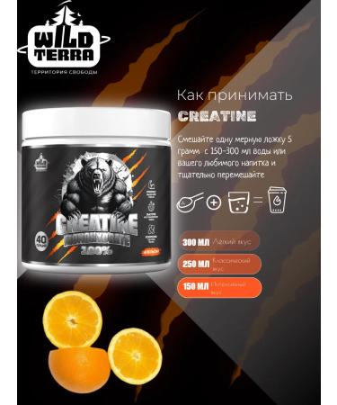 WILD TERRA Creatine Monohydrate Sports Nutrition Creatine 200g - Buy Online on GoSupps.com