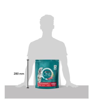 PURINA ONE Dry food for sterilized cats beef 750 gr - Buy Online on GoSupps.com
