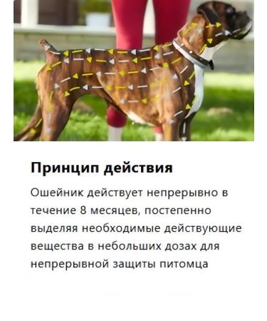 Elanco Forest's collar (over 8 kg) from fleas and ticks for dogs 70cm - Buy Online on GoSupps.com