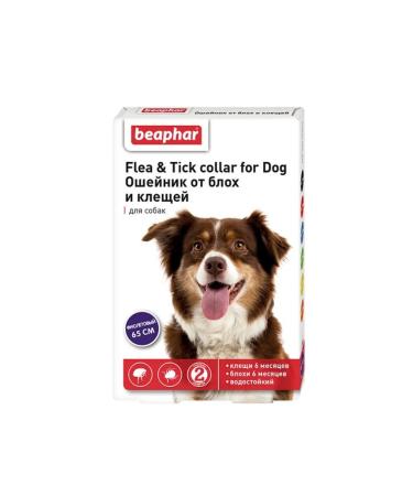 beaphar A collar from fleas and ticks for dogs (purple 65cm)