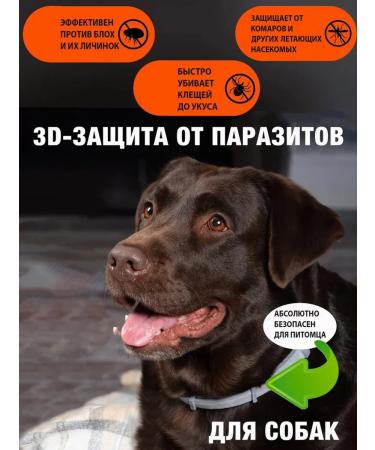 Neoterica RolfClub 3D Anti-Tick Flea and Mosquito Collar for Medium Dogs 65cm - Buy Online on GoSupps.com