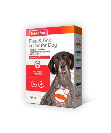 beaphar A collar from fleas and dogs for dogs (orange 65cm)