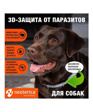 Neoterica RolfClub 3D Anti-Tick Flea and Mosquito Collar for Large Dogs 75cm - Buy Online on GoSupps.com