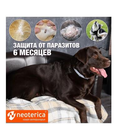 Neoterica RolfClub 3D Anti-Tick Flea and Mosquito Collar for Large Dogs 75cm - Buy Online on GoSupps.com