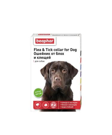 beaphar A collar from fleas and dogs for dogs (green 65cm)