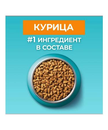 PURINA ONE Dry food for cats over 11 years old chicken and cereals 750 grams - Buy Online on GoSupps.com