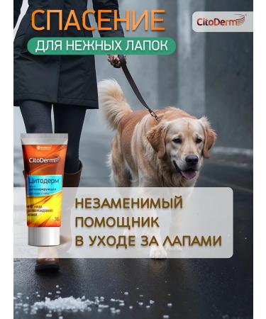 Citoderm Regenerating ointment 30 g - Buy Online on GoSupps.com