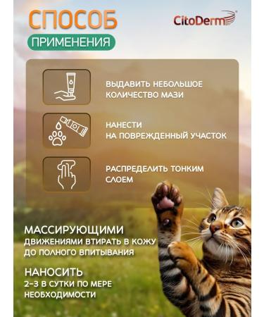 Citoderm Regenerating ointment 30 g - Buy Online on GoSupps.com