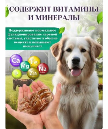 Delicious treats from Lelik Dog's treats trachea of beef - Buy Online on GoSupps.com