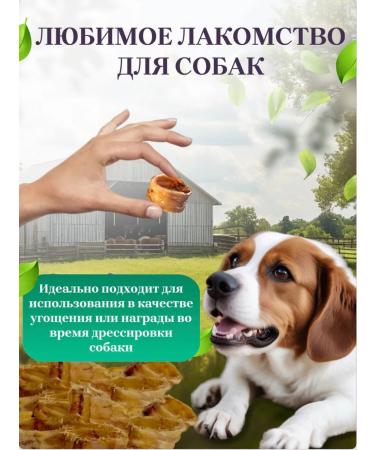 Delicious treats from Lelik Dog's treats trachea of beef - Buy Online on GoSupps.com