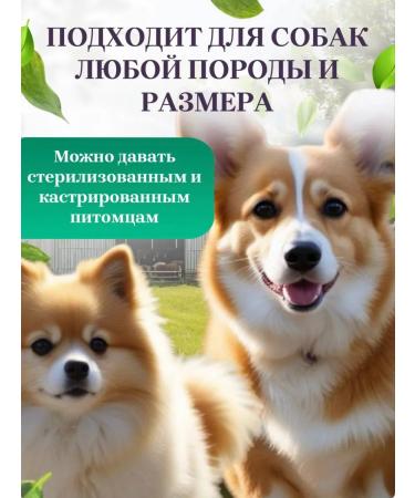 Delicious treats from Lelik Dog's treats trachea of beef - Buy Online on GoSupps.com