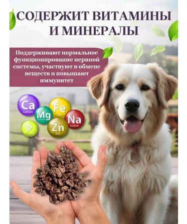 Delicious treats from Lelik Dog's treats light beef - Buy Online on GoSupps.com