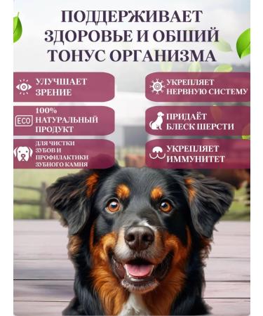 Delicious treats from Lelik Dog's treats light beef - Buy Online on GoSupps.com