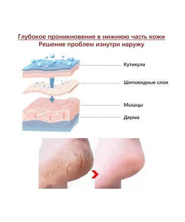 Exfoliating legs mask with fruit acids - Buy Online on GoSupps.com