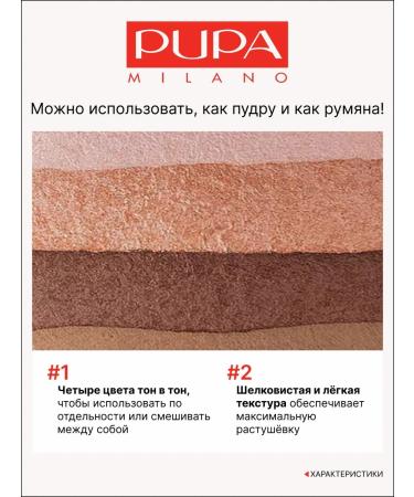 Pupa Blush powder 02 - Buy Online on GoSupps.com