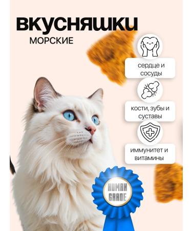 Yummi Fish 100% salmon delicious fish for dogs for cats vitamins - Buy Online on GoSupps.com