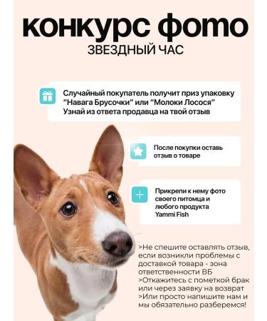 Yummi Fish 100% salmon delicious fish for dogs for cats vitamins - Buy Online on GoSupps.com