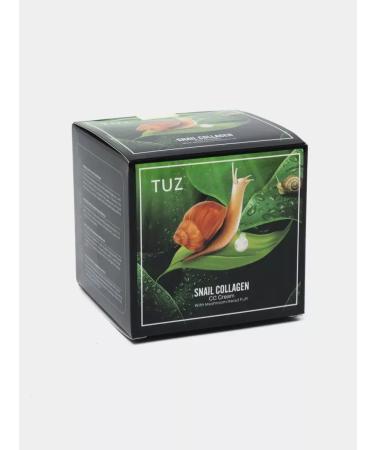 TUZ Cushon for face tone 2