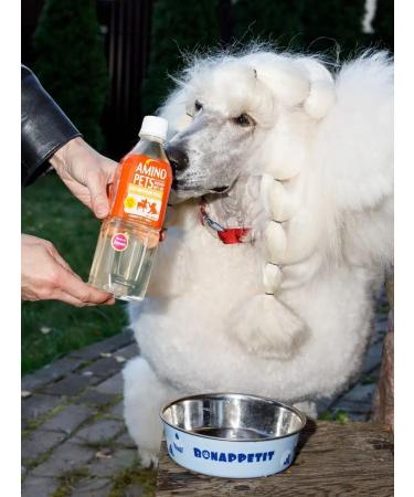 Japan Premium Pet Amino acid drink for weight control 500 ml - Buy Online on GoSupps.com