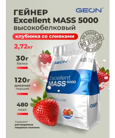 Geon Heiner Excellent Mass 5000 strawberries 2720 grams