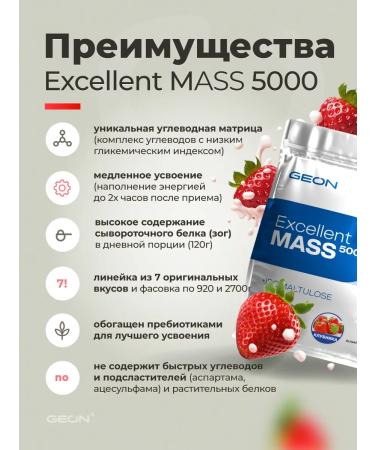 Geon Heiner Excellent Mass 5000 strawberries 2720 grams - Buy Online on GoSupps.com