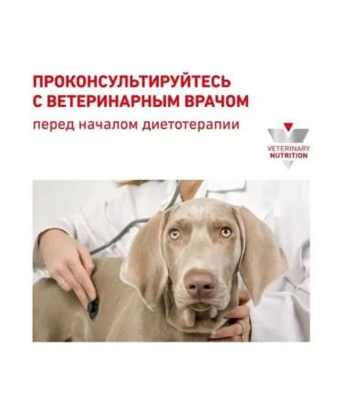 ROYAL CANIN Dry food for dogs 8 kg - Buy Online on GoSupps.com