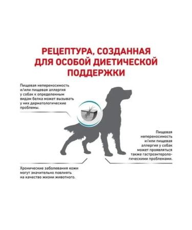 ROYAL CANIN Dry food for dogs 8 kg - Buy Online on GoSupps.com