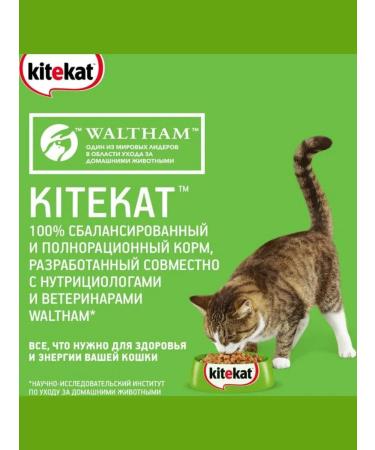 Kitekat KK wet food for cats lamb in a 28pcs x 85g - Buy Online on GoSupps.com